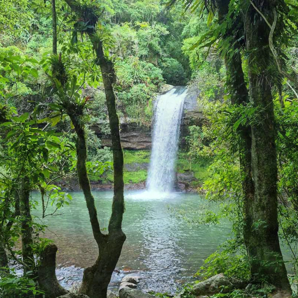 MAQUINÉ: BEM-VINDO A CAPITAL DO VERDE GAÚCHA