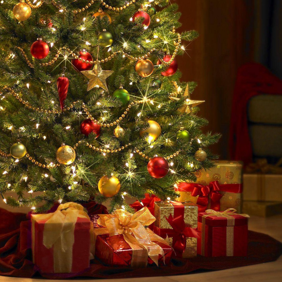 DESCUBRA A ORIGEM DA TRADIÇÃO DO PINHEIRO DE NATAL